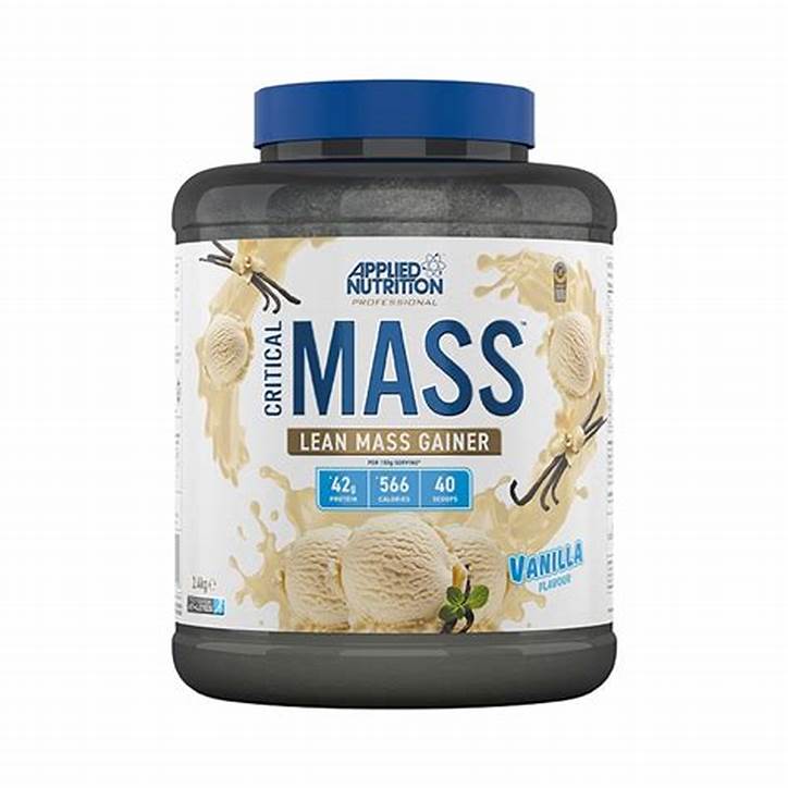 CRITICAL MASS PROFESSIONAL Mass Gainer
